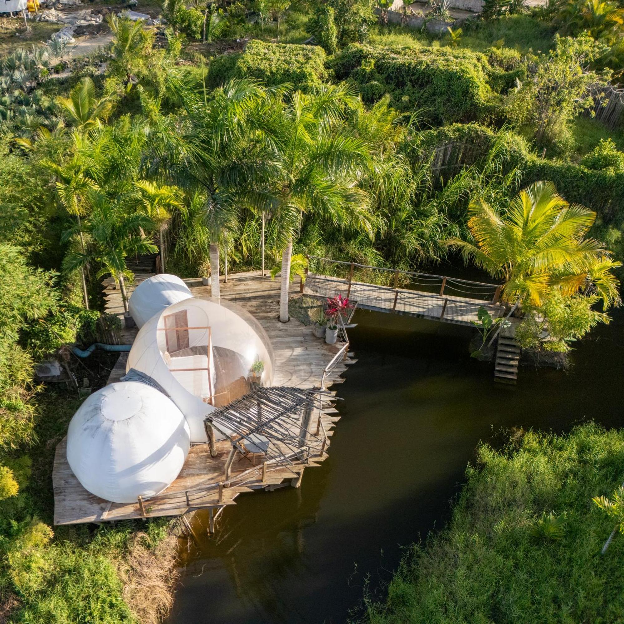 Green Land Bubble Glamping By Mint Καμπαρέτε Εξωτερικό φωτογραφία